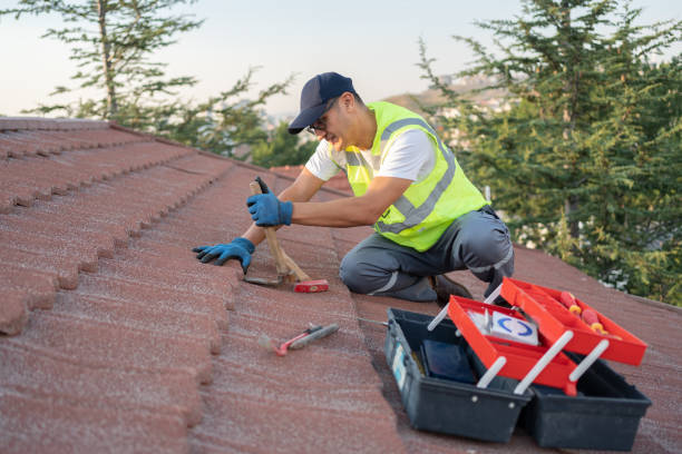Roof Gutter Cleaning in Karns, TN